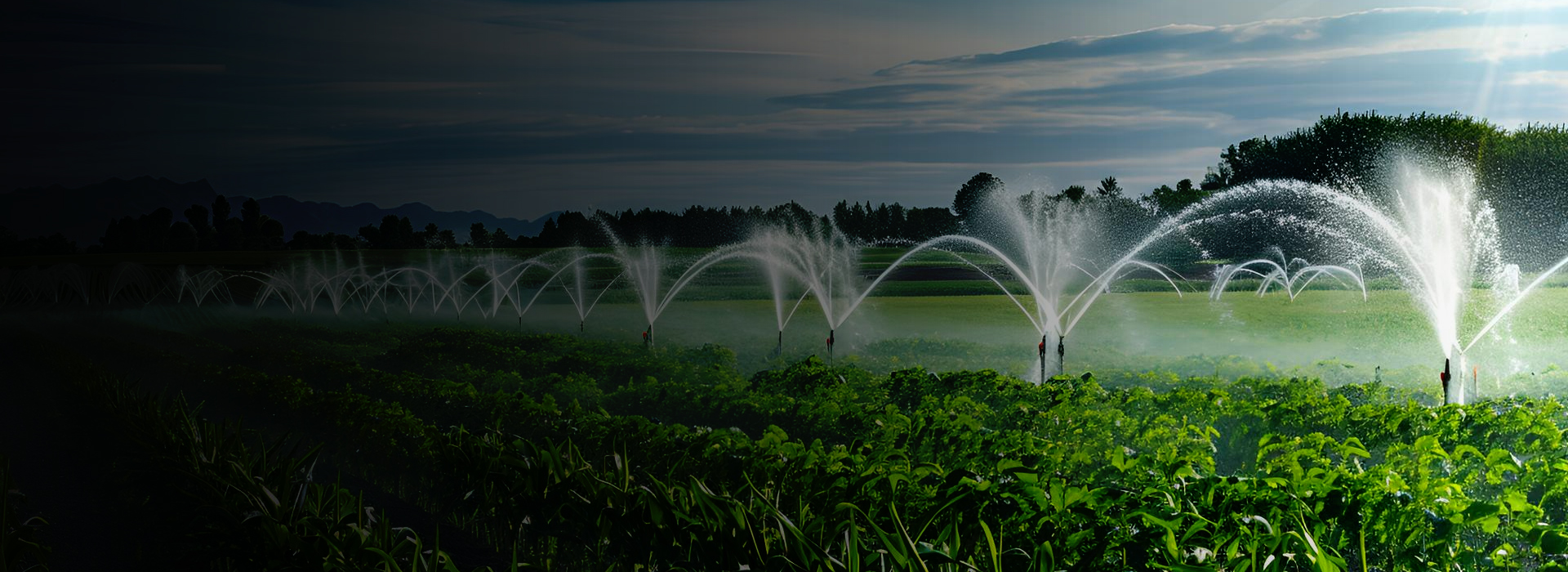 <p>Precision Watering<br />for Maximum Growth</p>