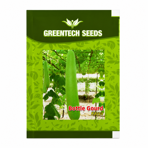 ChatGPT Image Jul 5, 2026, 12_00_18 PM 