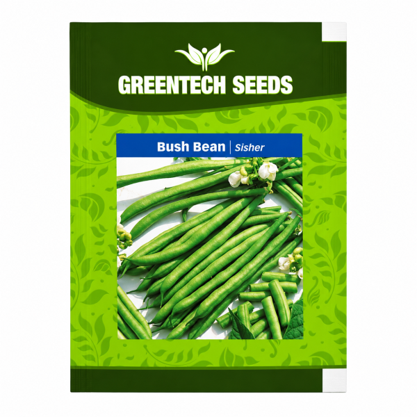 Bush Bean Sisher