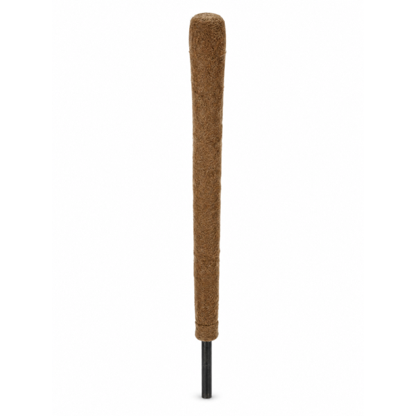 Coco Pole